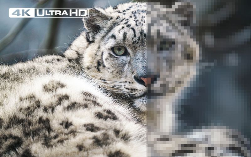 Màn hình Android Tivi Casper với độ phân giải 4K sắc nét