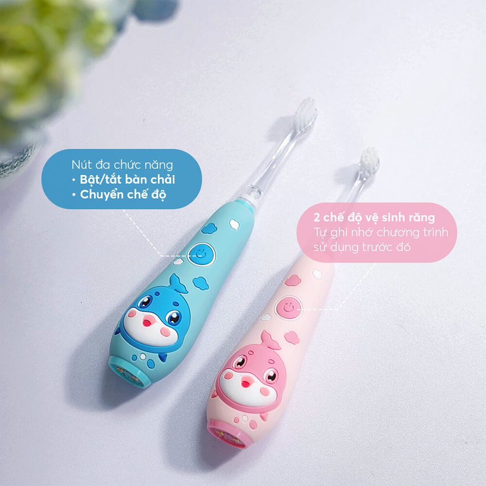 The 8455pk Profile 04