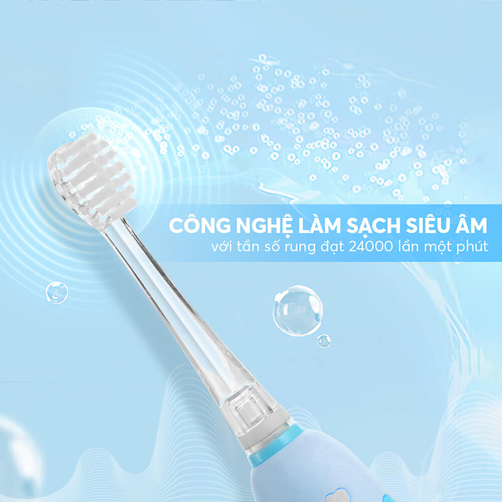 The 8455pk Profile 06