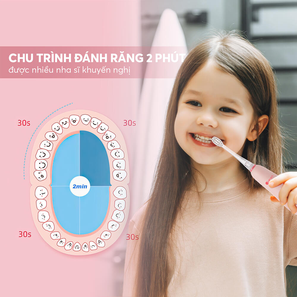 The 8455pk Profile 07