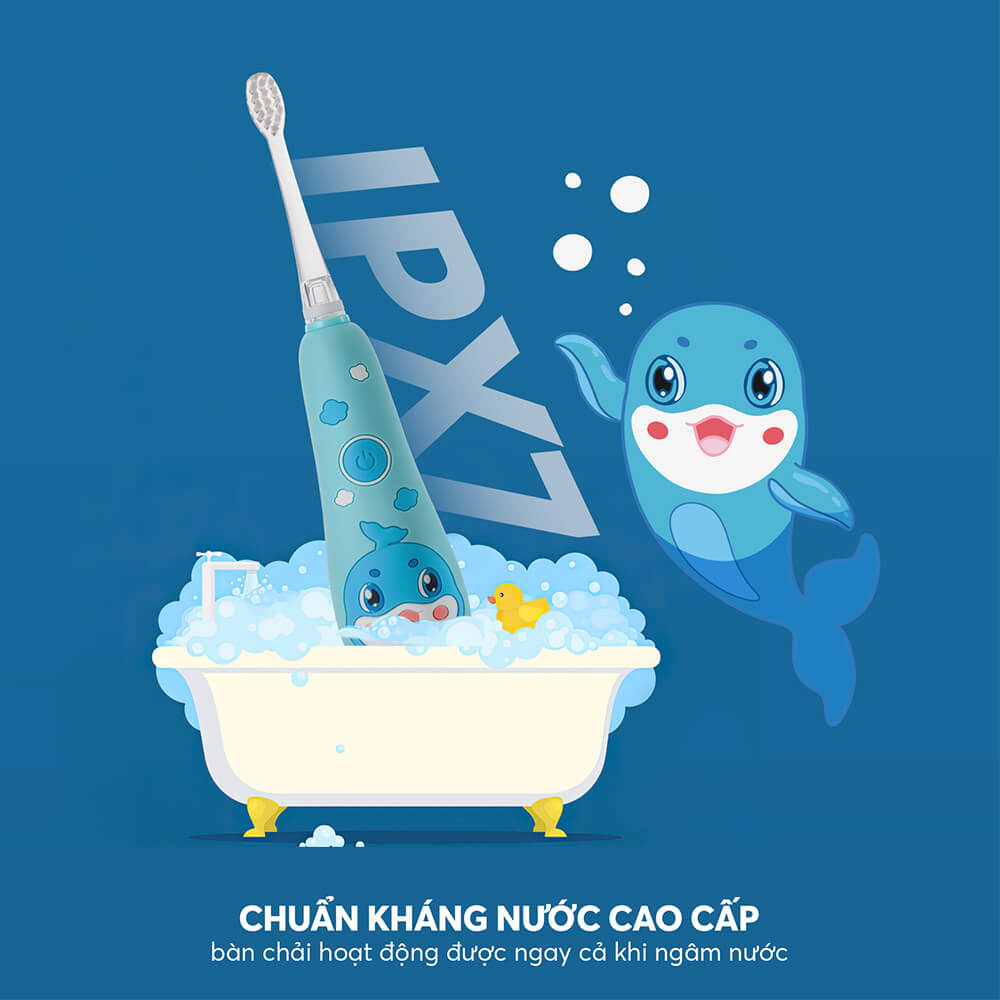 The 8455pk Profile 08