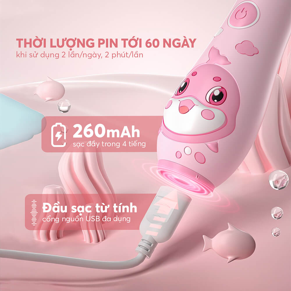 The 8455pk Profile 09